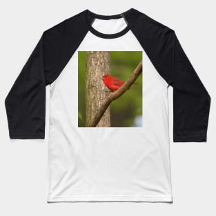 Summer Tanager Baseball T-Shirt